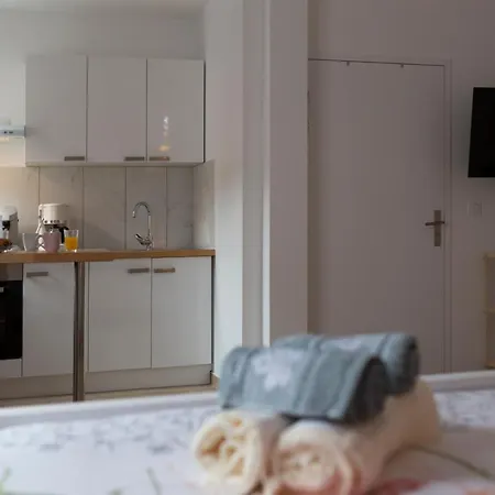 Apartament Loc Trotteur Le Pivoine Grand Confort, Gare Sncf De Lourdes