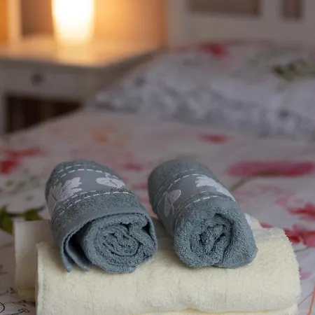 Loc Trotteur Le Pivoine Grand Confort, Gare Sncf De Apartament *