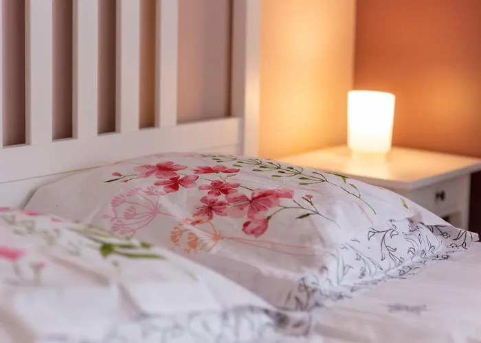 Loc Trotteur Le Pivoine Grand Confort, Gare Sncf De Lourdes