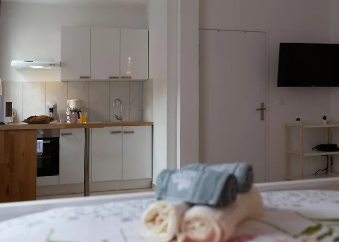 Apartment Loc Trotteur Le Pivoine Grand Confort, Gare Sncf De Lourdes