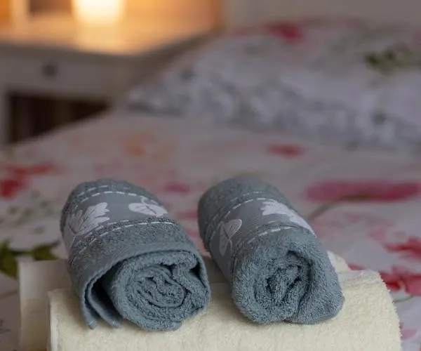 Loc Trotteur Le Pivoine Grand Confort, Gare Sncf De Appartement *