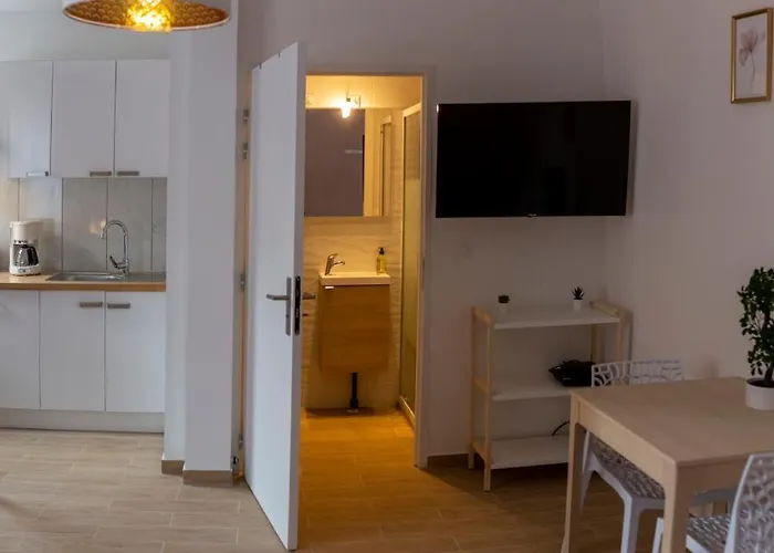 Loc Trotteur Le Pivoine Grand Confort, Gare Sncf De Apartment