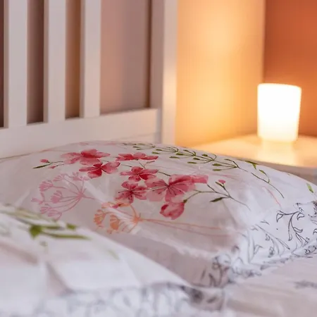 Loc Trotteur Le Pivoine Grand Confort, Gare Sncf De Lourdes